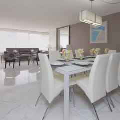 Alexander 1119