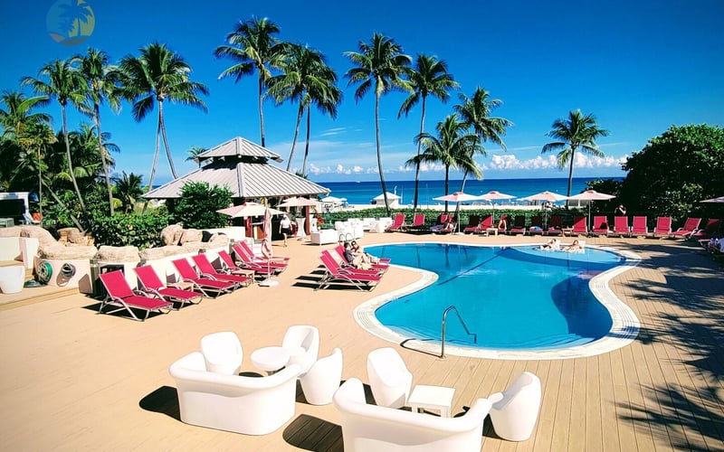 Resort pool deck with pink loungers, white seating pods, palm trees, and ocean view under clear blue sky